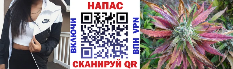 А ПВП Гай