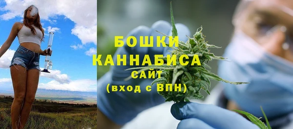 шишки Богородск