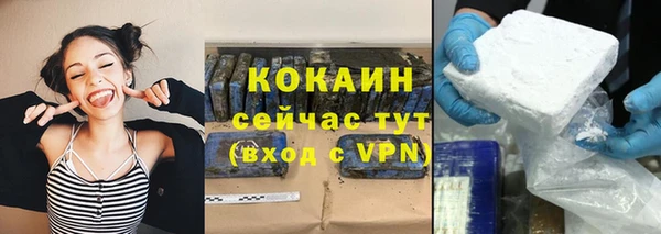 шишки Богородск