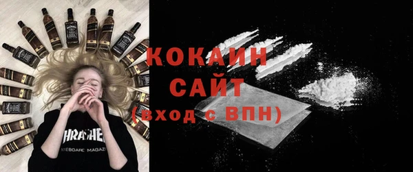 ГАЛЛЮЦИНОГЕННЫЕ ГРИБЫ Богданович