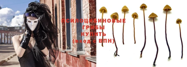ГАЛЛЮЦИНОГЕННЫЕ ГРИБЫ Богданович