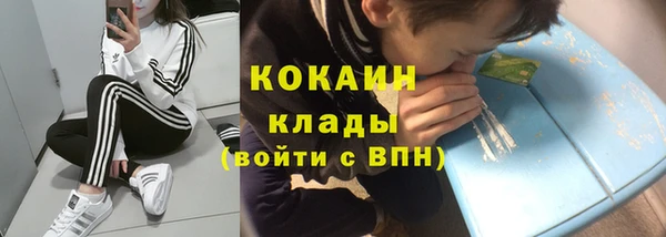 шишки Богородск