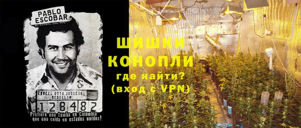 шишки Богородск