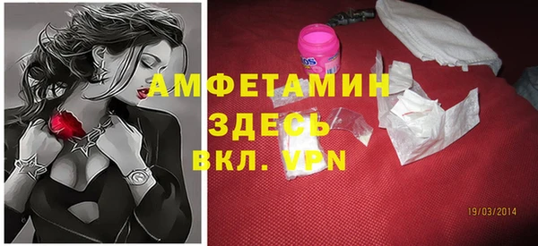 ГАЛЛЮЦИНОГЕННЫЕ ГРИБЫ Богданович