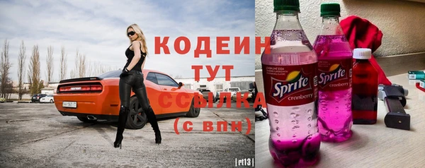 гашик Билибино