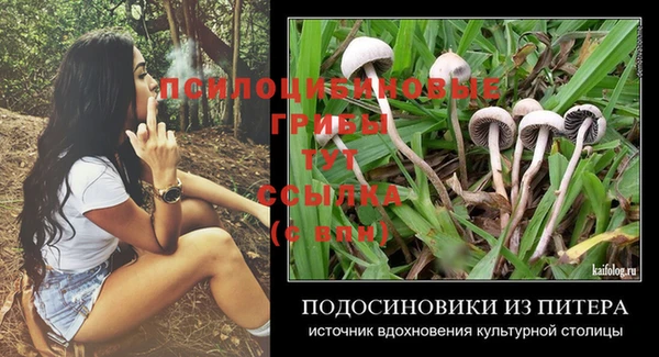 шишки Богородск