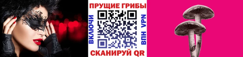 Галлюциногенные грибы Cubensis  Гай 