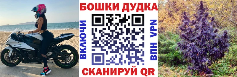 наркотики Гай Марихуана ГИДРОПОН